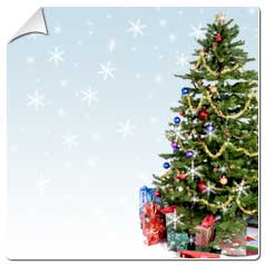 Pinheiro de Natal